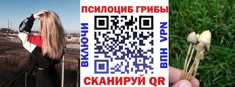 что такое   Александров  Галлюциногенные грибы Psilocybe 